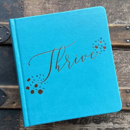 NLT THRIVE Creative Journaling Devotional Bible--soft leather-look teal over hardcover