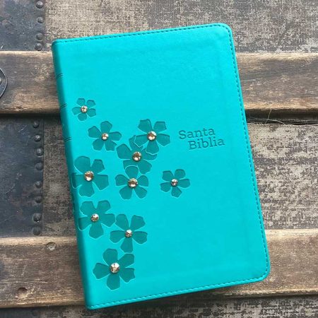 NTV Santa Biblia Compacta